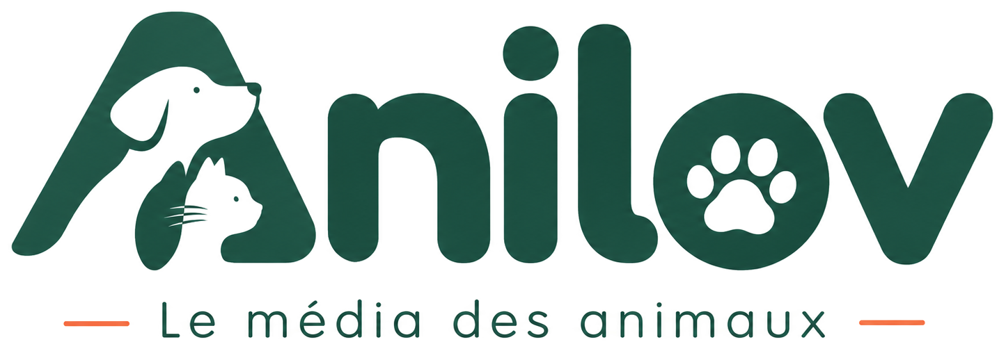 Anilov